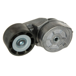 Bta Case Fiat Ford B05-Ag-008 Обтегач на многоклинов ремък